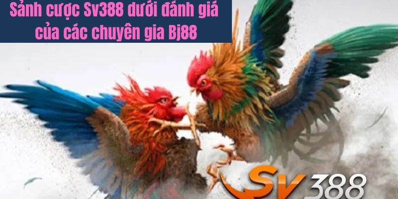 Ưu nhược điểm của sảnh sv388 dưới đánh giá của chuyên gia Bj88 Ưu nhược điểm của sảnh sv388 dưới đánh giá của chuyên gia Bj88