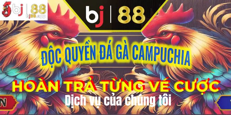 Dịch vụ phát triển đa dạng và hấp dẫn cuốn hút bạn về chúng tôi Dịch vụ phát triển đa dạng và hấp dẫn cuốn hút bạn về chúng tôi