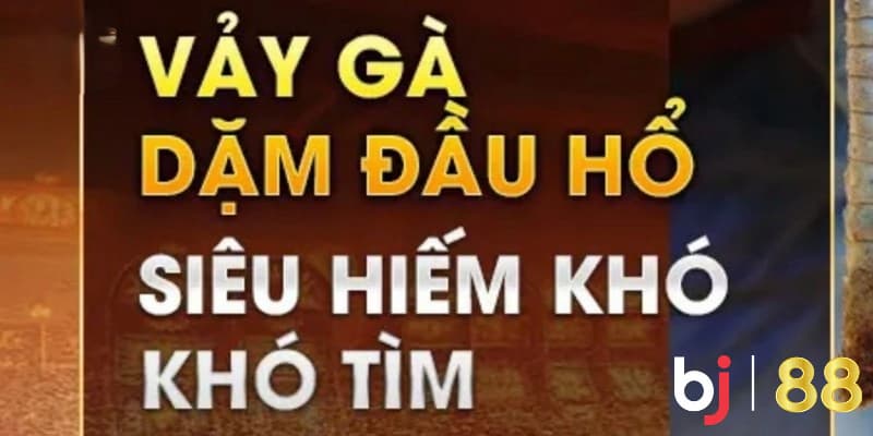 Vảy Gà Dặm Đầu Hổ - Bật Mí Cách Xem Và Chăm Sóc Đúng Cách Giới thiệu vảy gà dặm đầu hổ