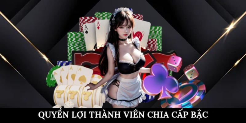 Quyền Lợi Thành Viên BJ888 - Khám Phá Đặc Quyền Tối Ưu Quyền lợi thành viên BJ888 có chia cấp bậc thành viên